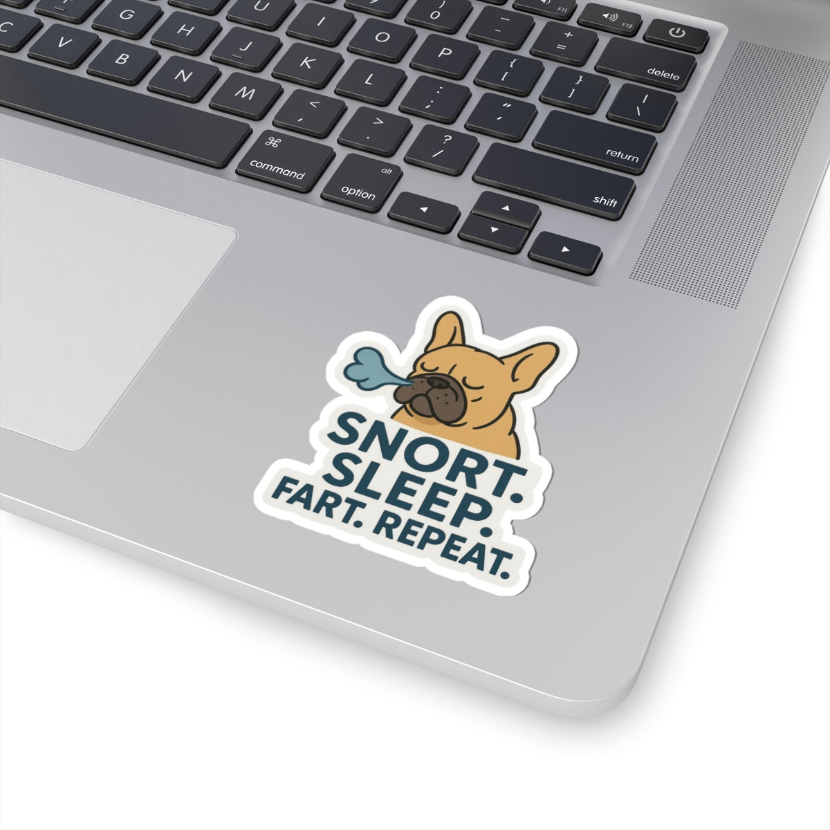 Snort. Sleep. Fart. Repeat. Sticker