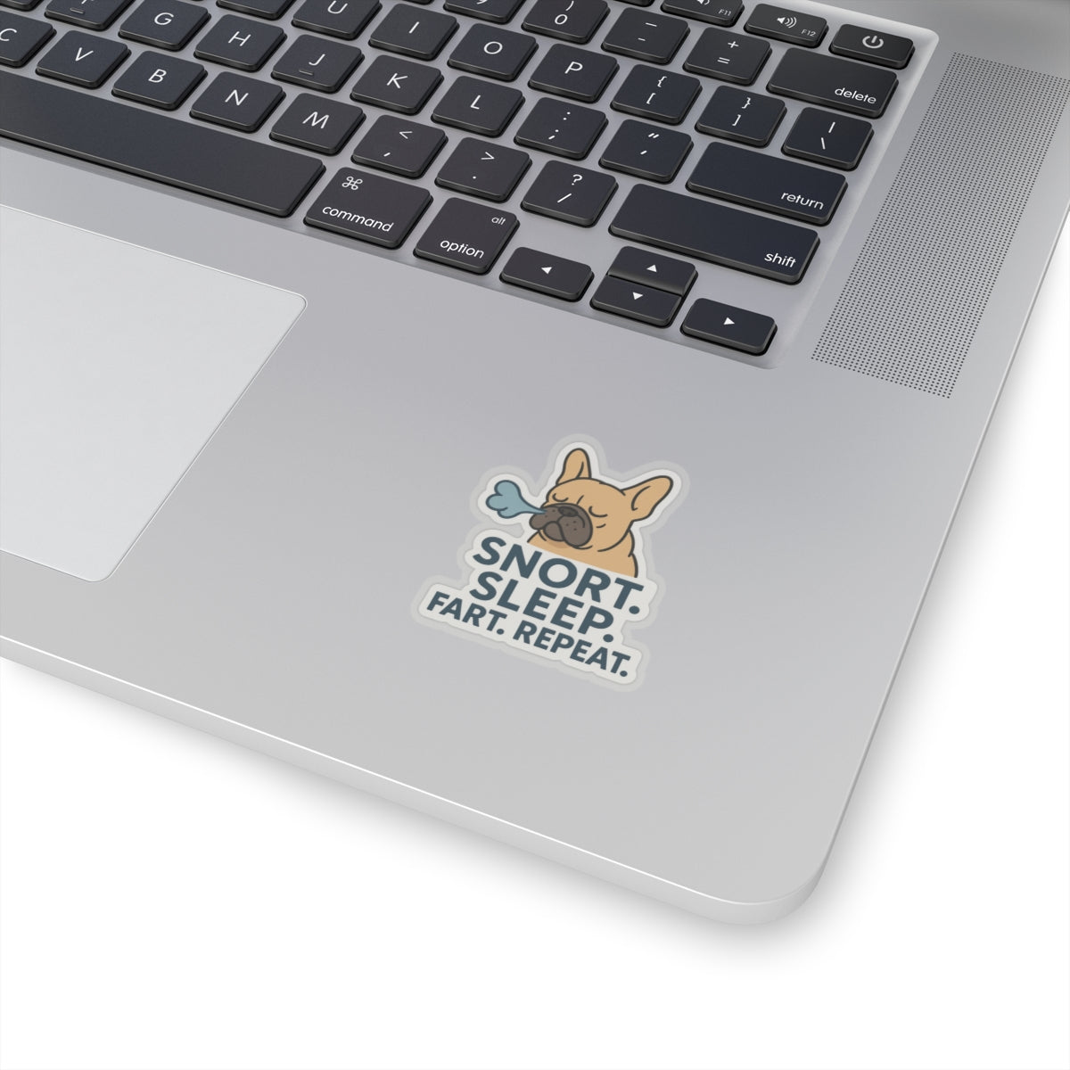 Snort. Sleep. Fart. Repeat. Sticker