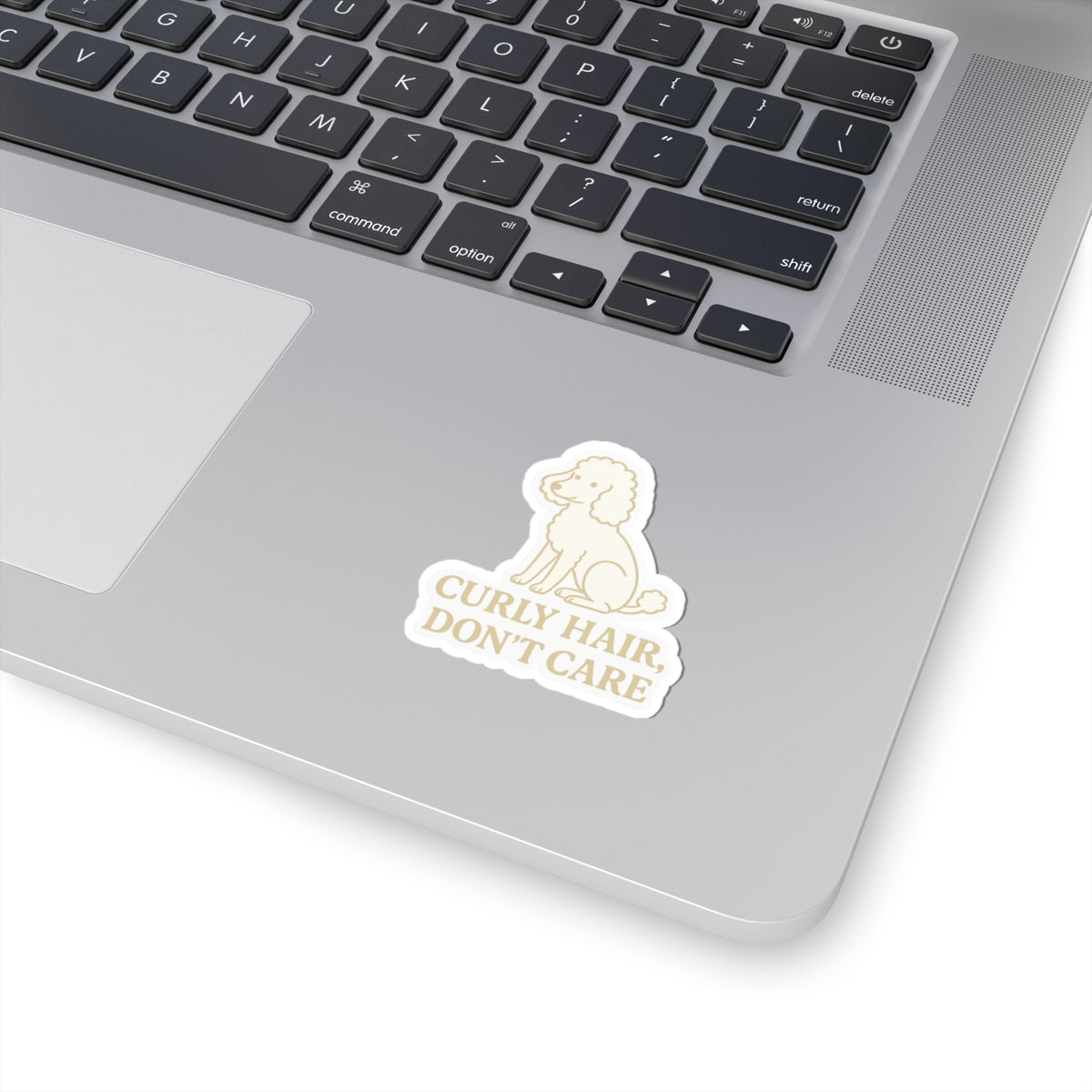 Curly Hair, Don't Care Sticker