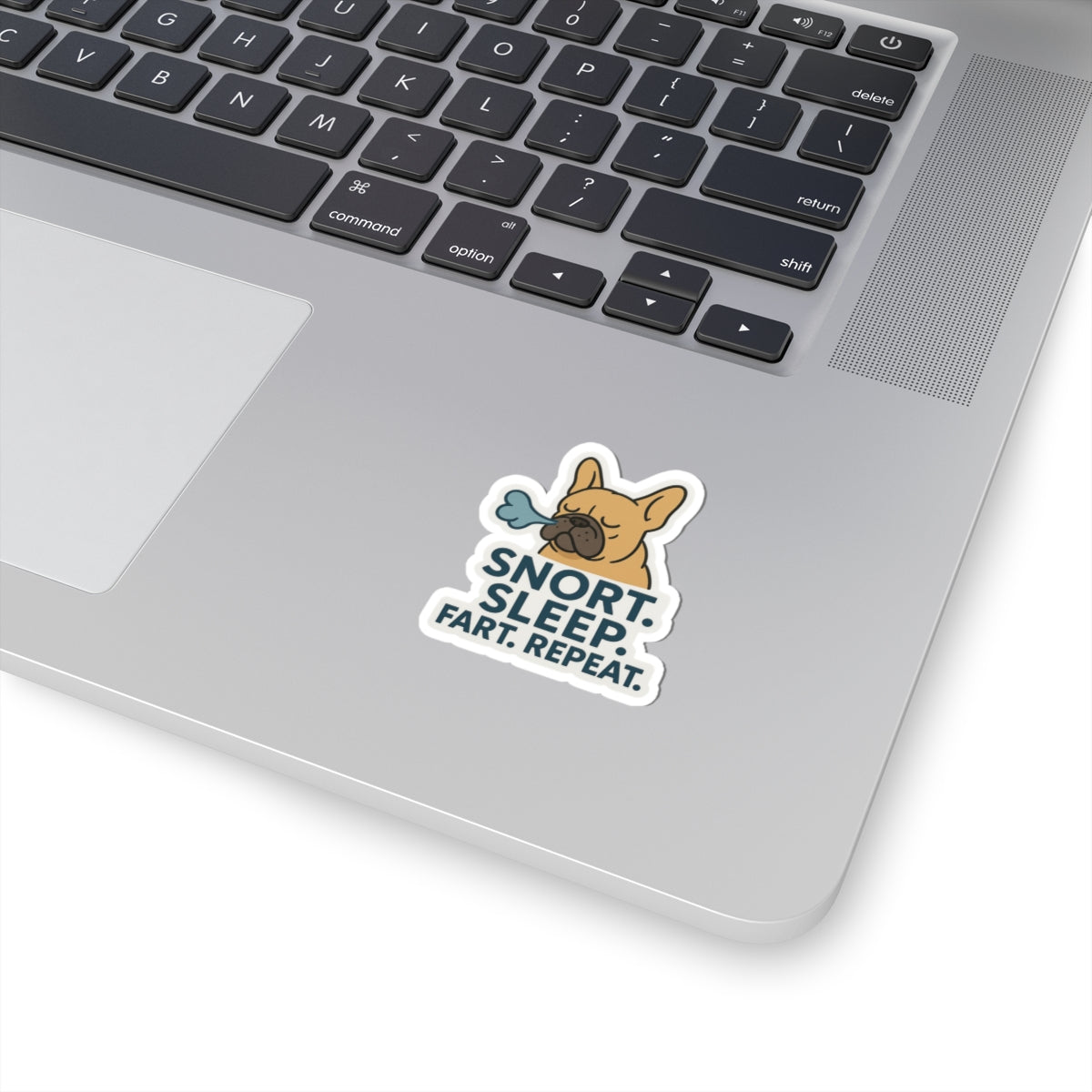 Snort. Sleep. Fart. Repeat. Sticker