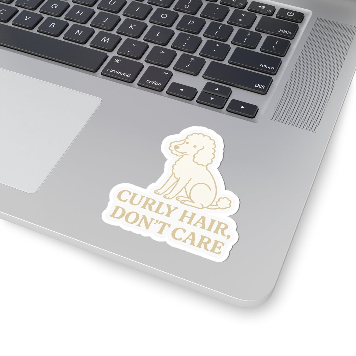Curly Hair, Don't Care Sticker