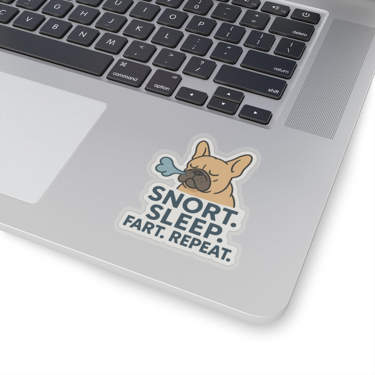 Snort. Sleep. Fart. Repeat. Sticker