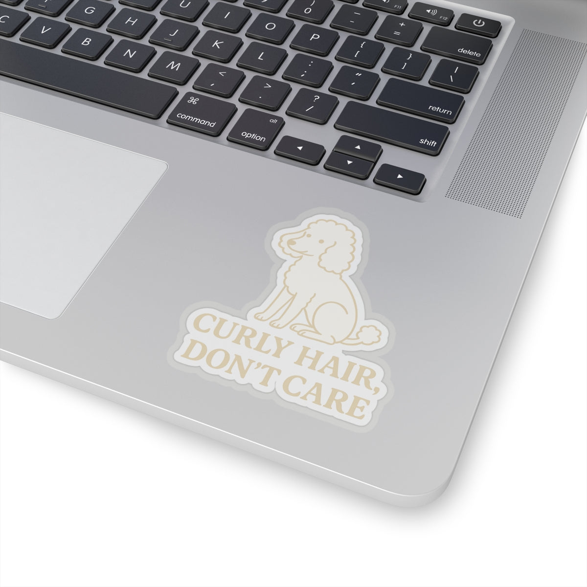 Curly Hair, Don't Care Sticker